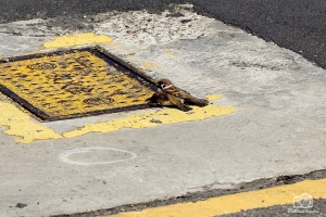 麻雀的那檔事.......