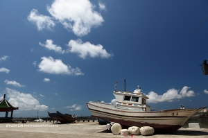 沿著菊島旅行[dylen]