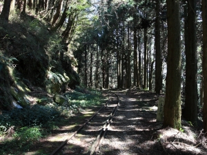 ☆ 阿里山遊記之塔山支線篇☆(完)