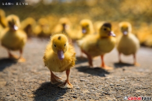 2014 FM PAPA走 景點精選