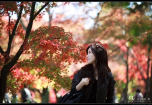 京都紅葉