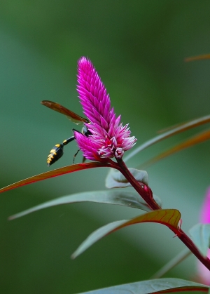 2011.10.16南庄之旅
