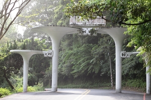 沙塵暴下的~~陽明山花季~~