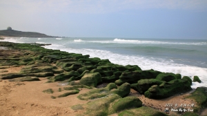 2012 春 再訪老梅石槽