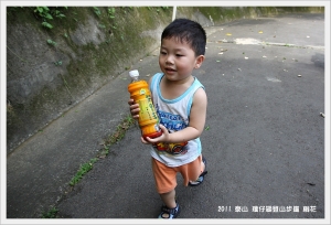 2011 泰山 瓊仔湖登山步道 桐花