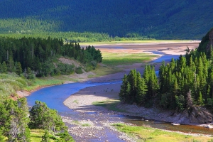 Swiftcurrent Creek, Glacier National Park, Montana