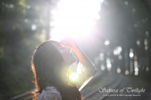 + 暮光‧櫻 + ~ Misa