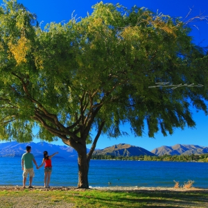 那年夏天...【我們一起旅行的回憶】紐西蘭‧南島