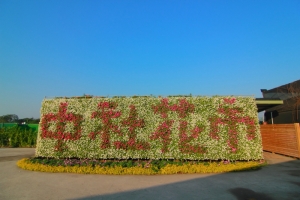 中社花市賞鬱金香