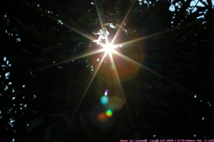 猴群 +  旅途隨拍      小小白IS 拍攝