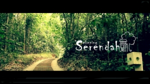 马来西亚树林游记