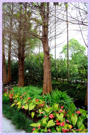 彰化田尾鄉－菁芳園休閒農場
