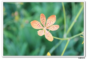 0728-30 玩樂台北