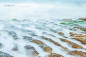 不夠綠的石門老梅..