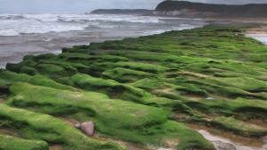 老梅石槽 @ 砂糖