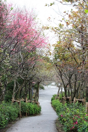 花祭。青年