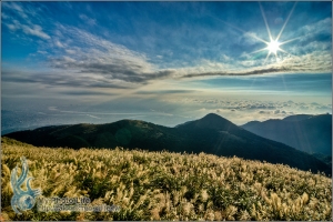 大屯山‧芒花雲海‧夕暮