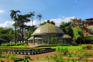 台北市植物園 13P