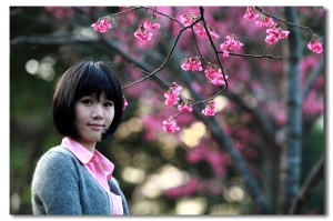 可愛鄰家女孩造型可愛小噗妹與櫻花的結合