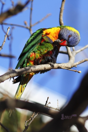 墨爾本市區一隅