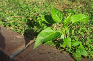 換輪胎X刑務所X誠品