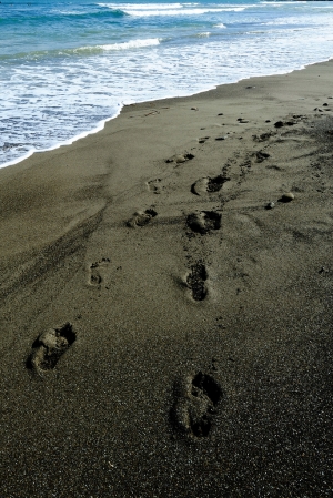 海的回憶 - 雜工