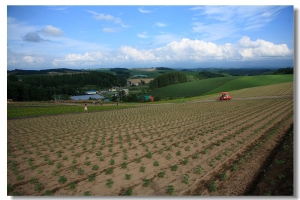 ++ 北海道之旅 ++