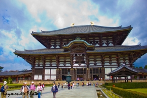 東大寺 兩張試水溫