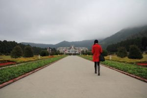 九族櫻花亂亂拍