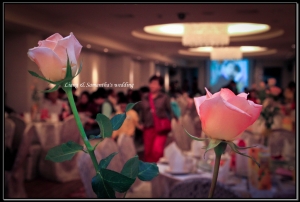 不專業婚攝...拍好友~~