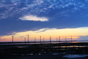 高美濕地一張流