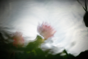 荷擔如來 - 雜工