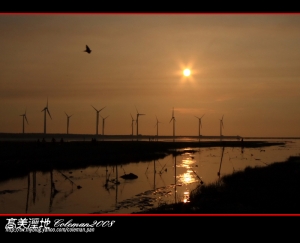 高美 夕陽