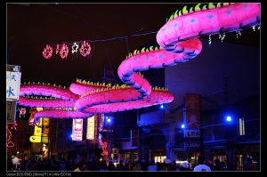 鹿港花燈-南燈區 ( 2 )