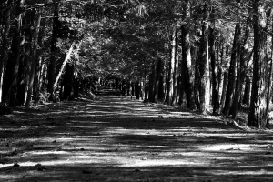 心情抒發~~不喜勿入(如違規請刪)