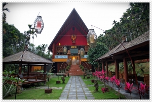 南投~峇里(二) 烏部雨林