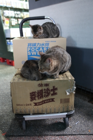 聖誕節遊侯硐