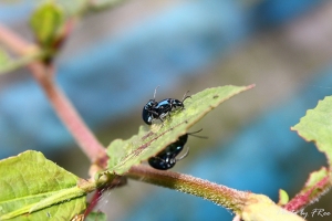 溪頭工作旅行part1