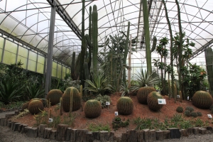 綠世界之BV現形記.