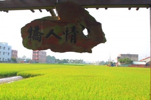 1000915那一年獨自環島Day3台中兩大名校+大甲