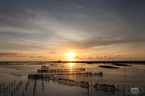 七股瀉湖 (黑卡)