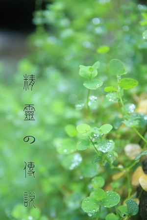 精靈の傳說  (Summer 森林系)