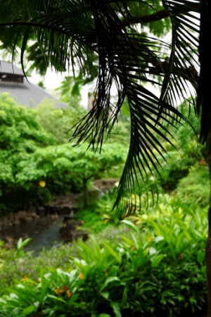 宜蘭遊植物隨拍