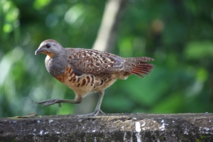 沒有日出的二寮