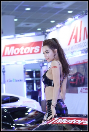 2013   韓國汽車暨醫美大展  (圖多)   서울오토살롱