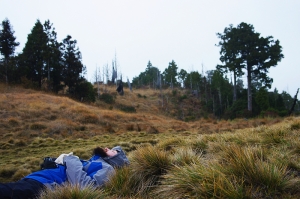 仙女落下的珍珠~加羅湖
