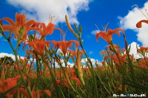 800公里的長佂..六十石山