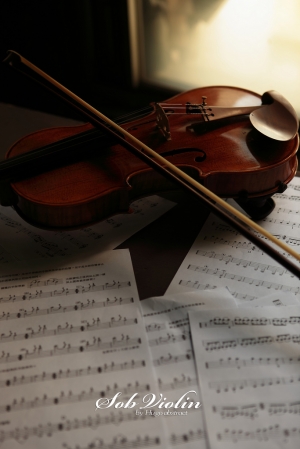 ++ Sob Violin ++