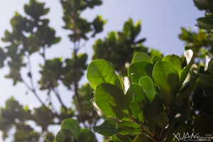 午後悠閒又淡水