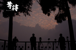 撮影人の待つことと期待 (一張流)